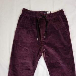 American Eagle Ne(X)t Level Flex Corduroy Jogger